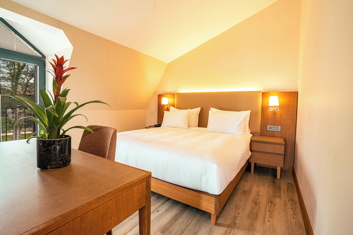 Doppia Standard, vista giardino | Minibar, una cassaforte in camera, una scrivania, Wi-Fi gratuito