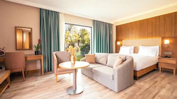 Superior Room | Minibar, Zimmersafe, Schreibtisch, kostenloses WLAN