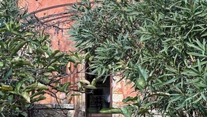 Un edificio rústico con tejado de tejas, una pequeña ventana y un muro de piedra.