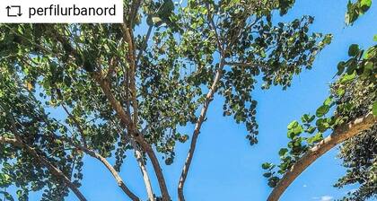 Villa frente al mar Bayshore 76 Palmar de Ocoa