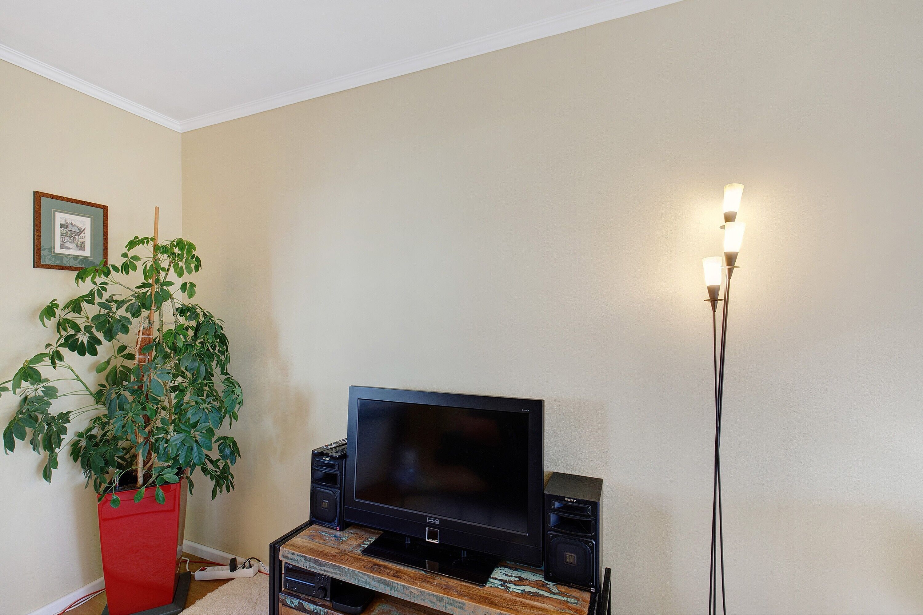 Una sala de estar con televisión sobre un mueble de madera, una planta en maceta y una lámpara de pie.