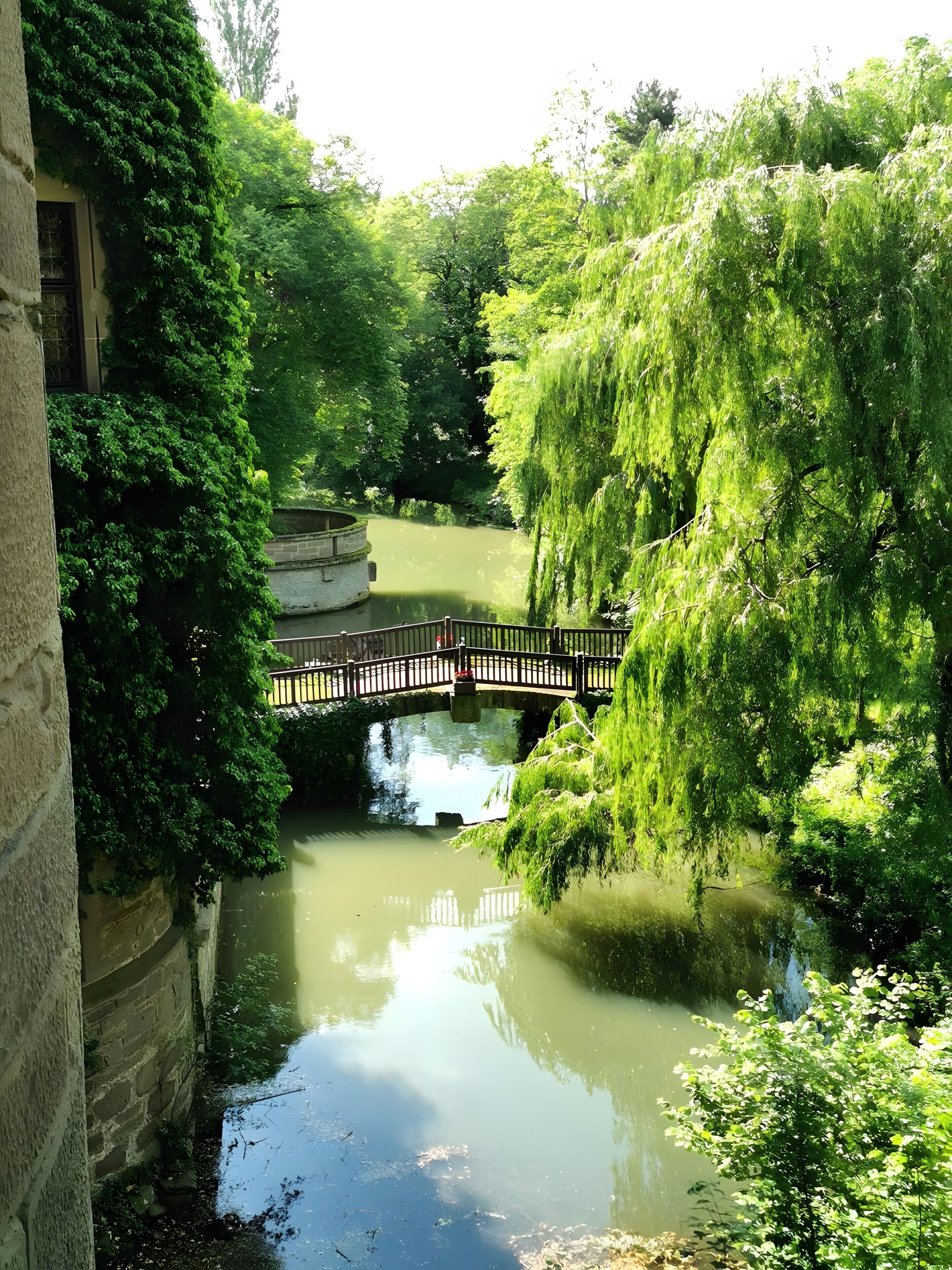 Un jardin paisible avec un pont enjambant un étang tranquille, le tout entouré d’une végétation luxuriante.