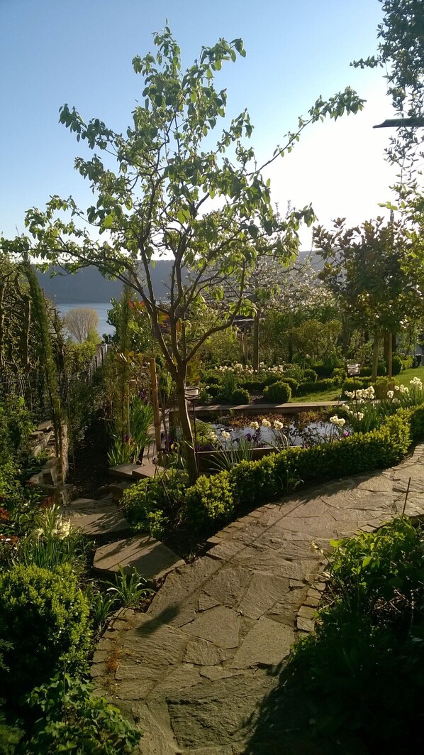 A garden with a stone pathway, various plants, and a body of water in the background.