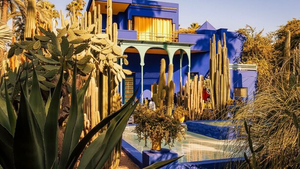 A building with blue and yellow exterior walls, surrounded by cacti and desert plants. - Riad Safran – Private Chef, Indoor Pool Gem (Marrakesh)