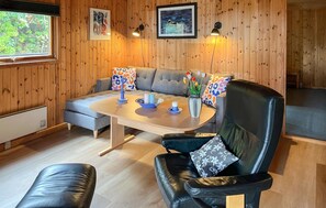 تلفزيون، مدفأة