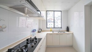 A modern kitchen with a gas stove, a sink, and a window with a city view.