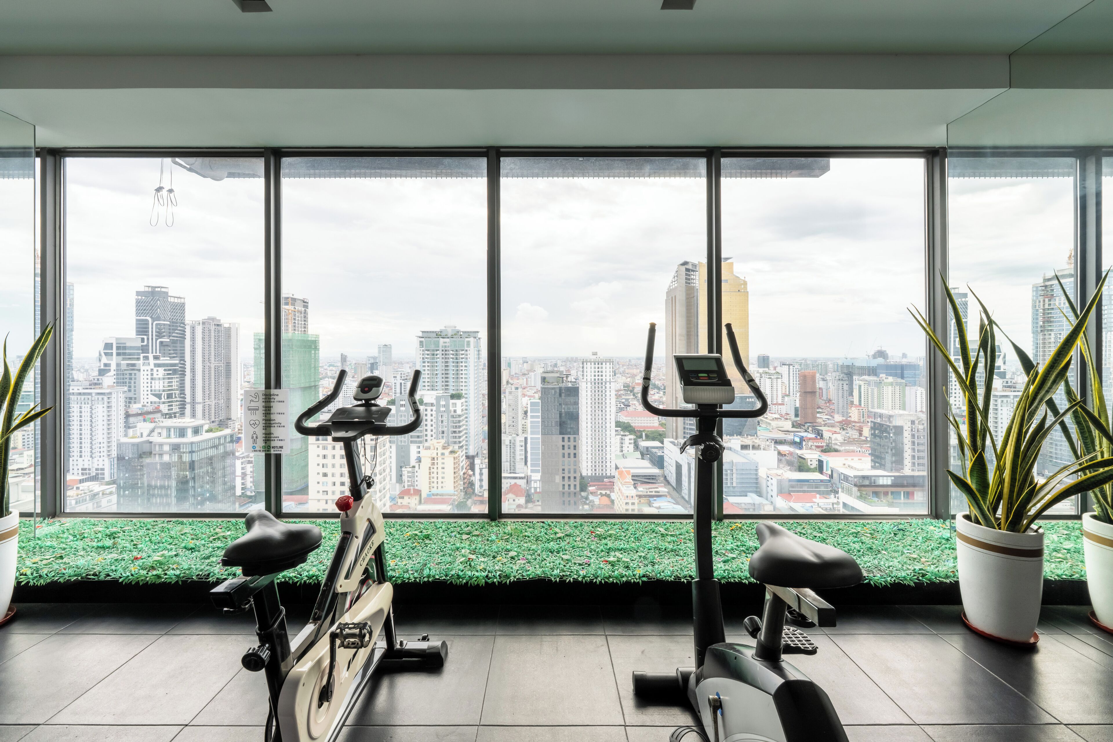 A gym with exercise bikes and a treadmill, large windows with a city view, and potted plants.