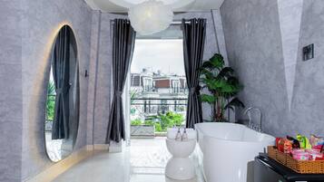 Hair dryer, towels, soap, toilet paper