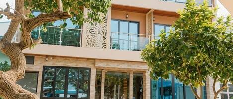 Un immeuble à plusieurs étages, doté de balcons, de grandes fenêtres et d’un arbre au premier plan.