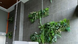 Un intérieur moderne agrémenté d’un fauteuil suspendu, d’un canapé et d’installations végétales verticales fixées aux murs.
