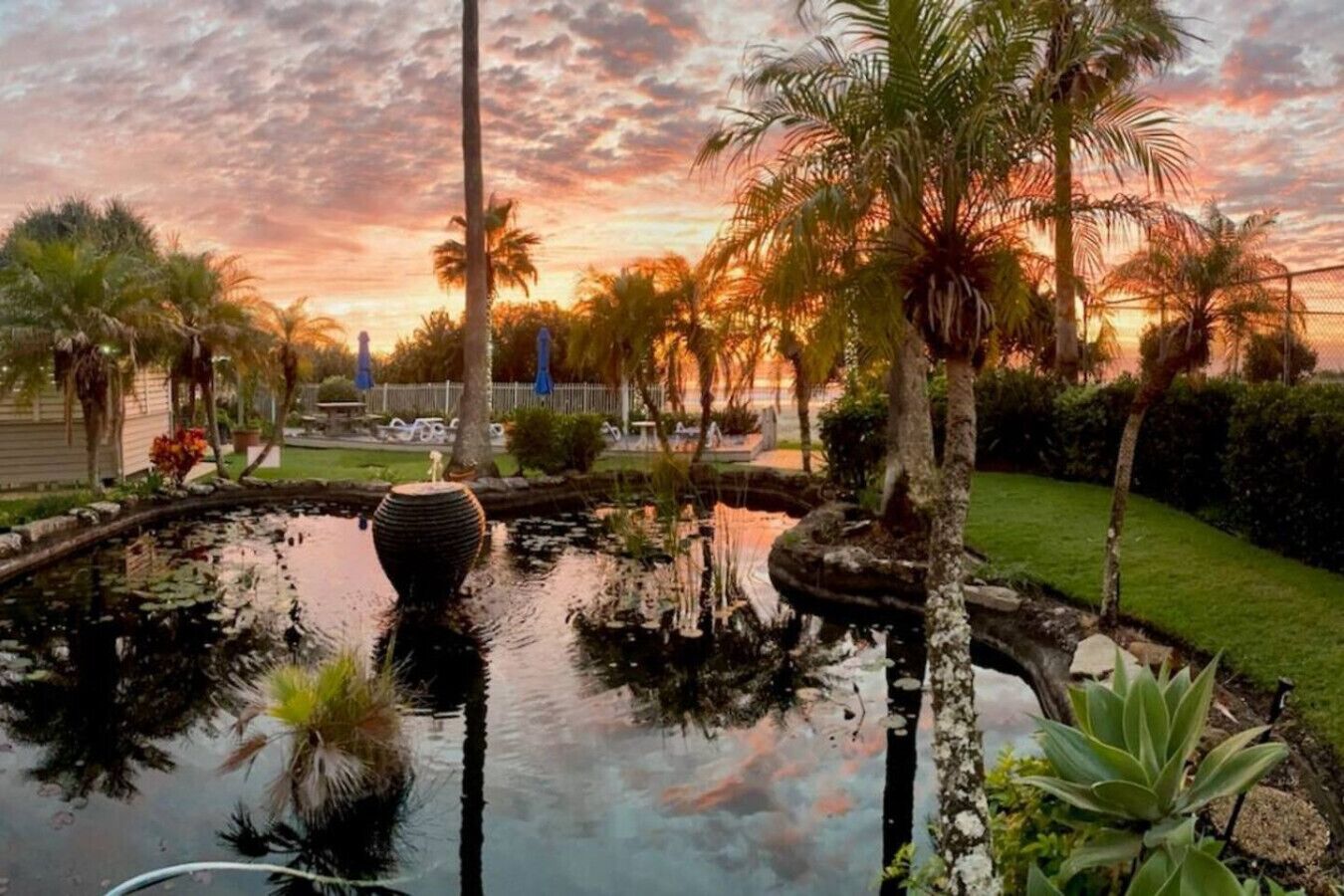 Terrein van de accommodatie