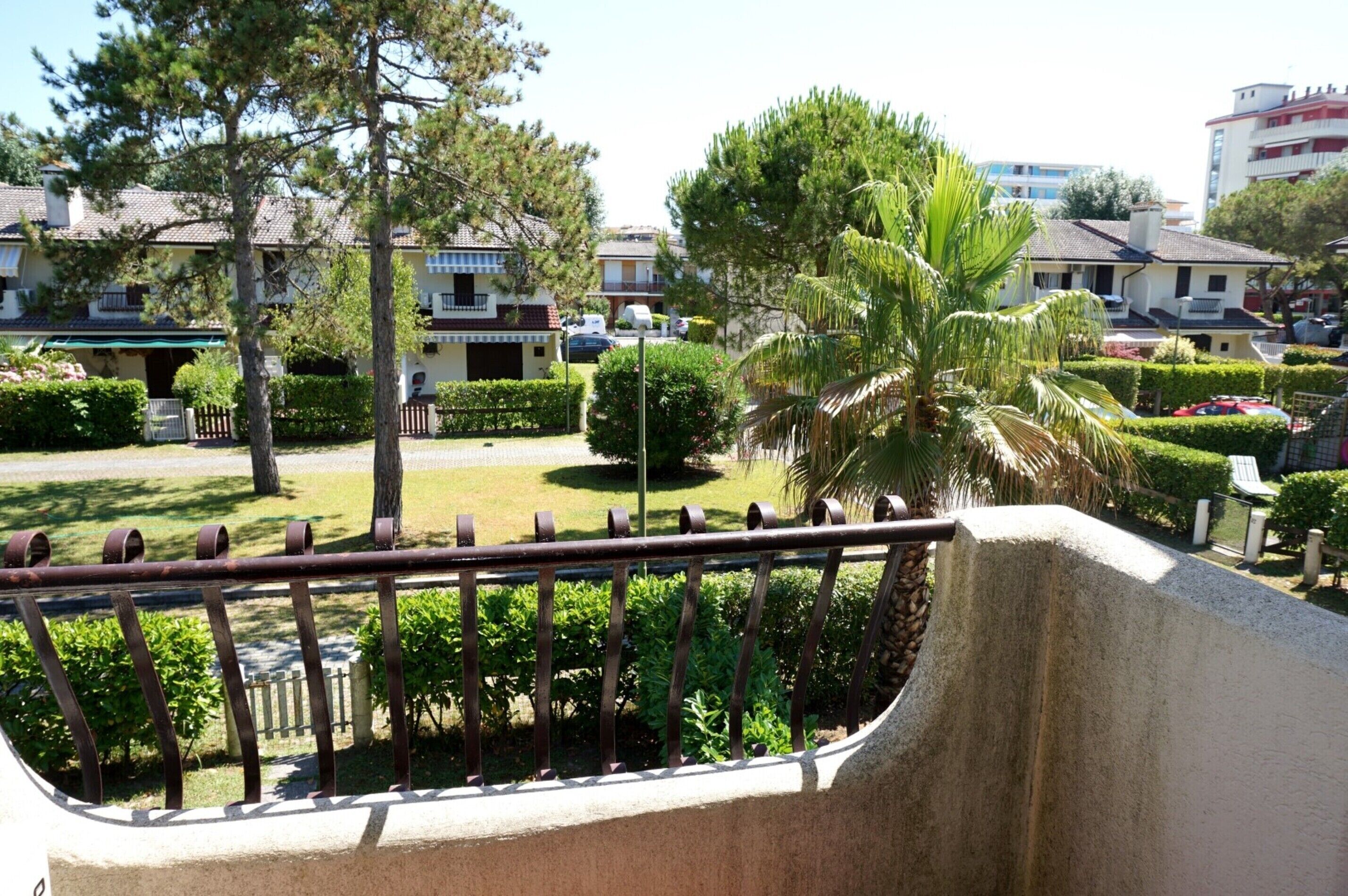 A residential area with houses, a palm tree, and a metal fence.
