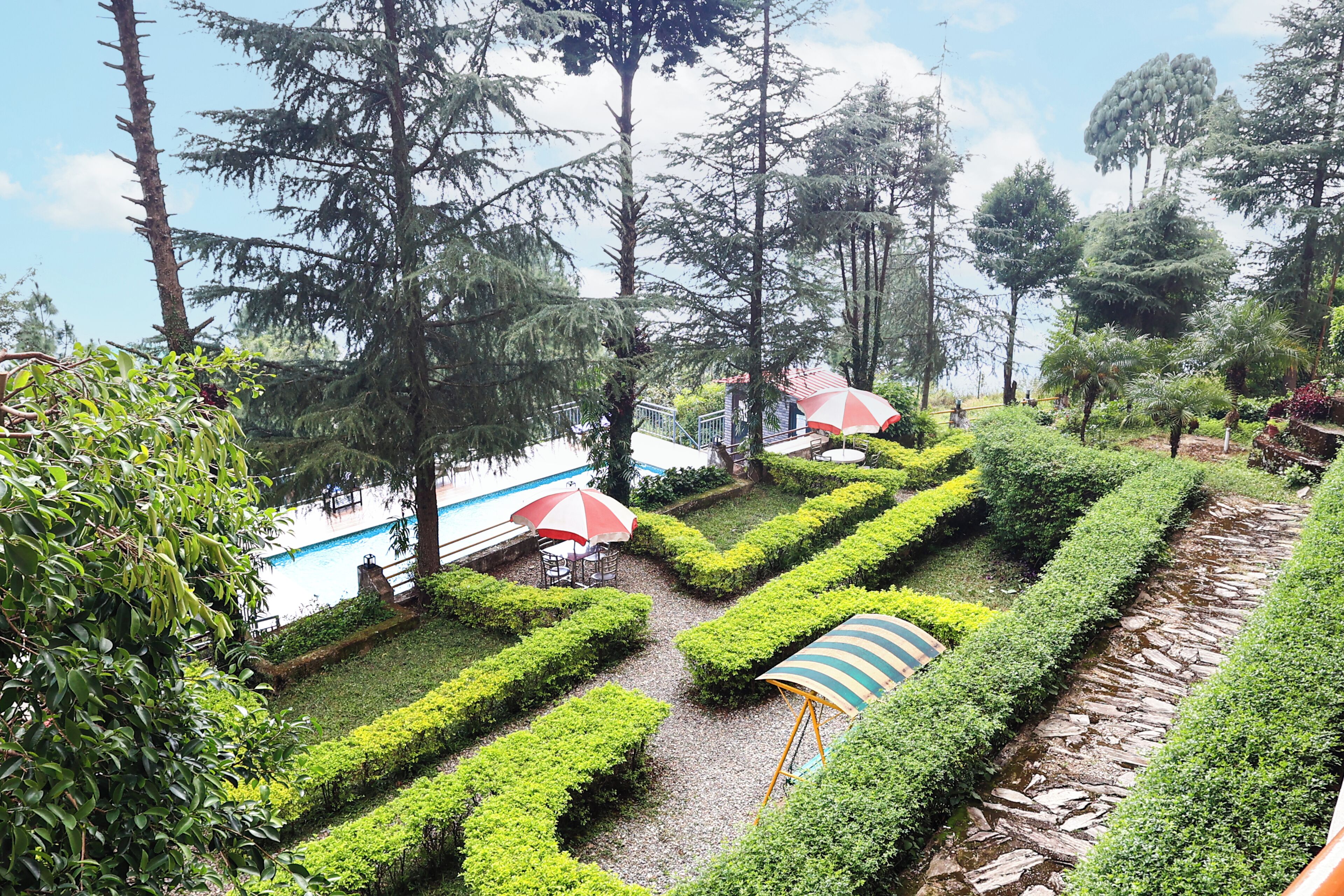 Een aangelegde tuin met paden, strakke hagen en een zwembadgedeelte.