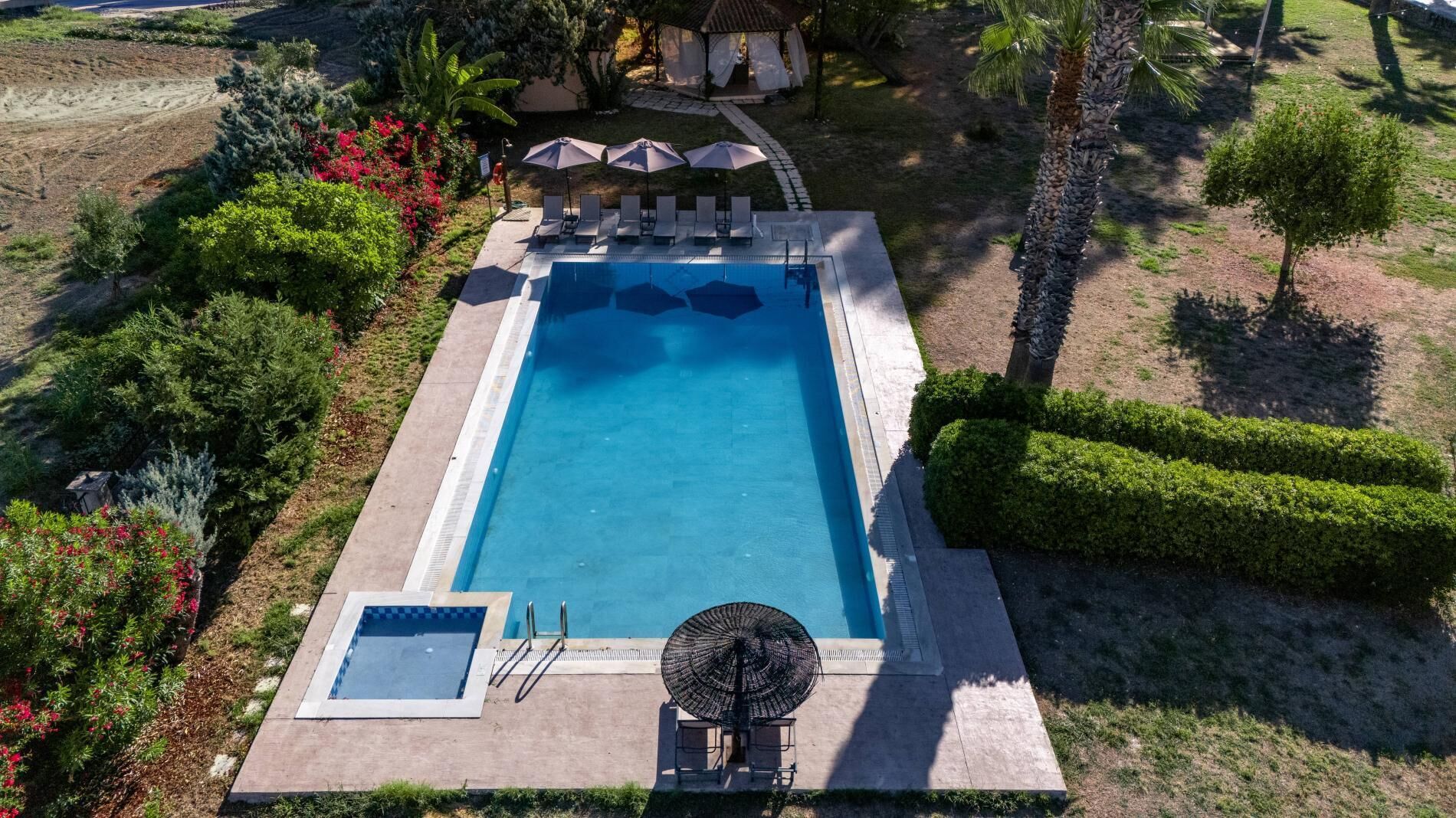 A rectangular swimming pool with a small adjacent hot tub, surrounded by a well-maintained garden with various shrubs and a palm tree.