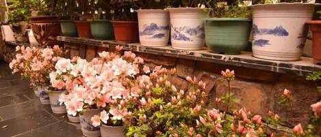 Áreas de la propiedad