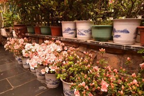 Property grounds - Hotel Baihui Inn (Zhangjiajie Pedestrian Street Dayong Ancient City Inn）) (Zhangjiajie)