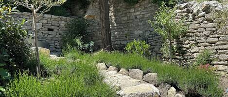 Àrea exterior de l'allotjament