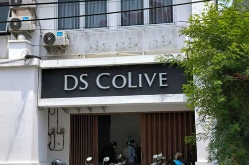 DS Colive Layur