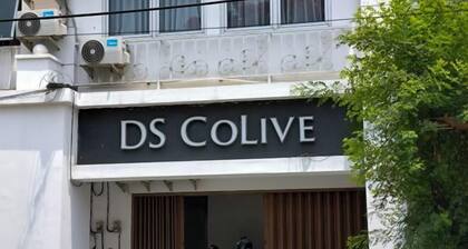DS Colive Layur