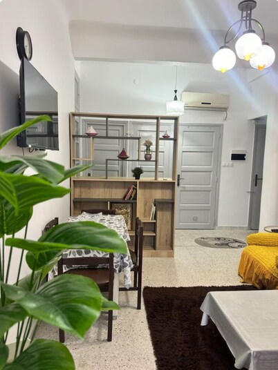 Urban Oasis in Algiers' Heart