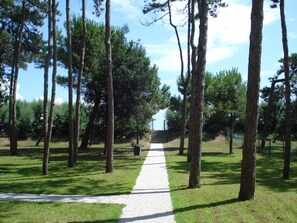 Appartement, 1 chambre, balcon, vue sur l’océan | Terrain de l’hébergement 