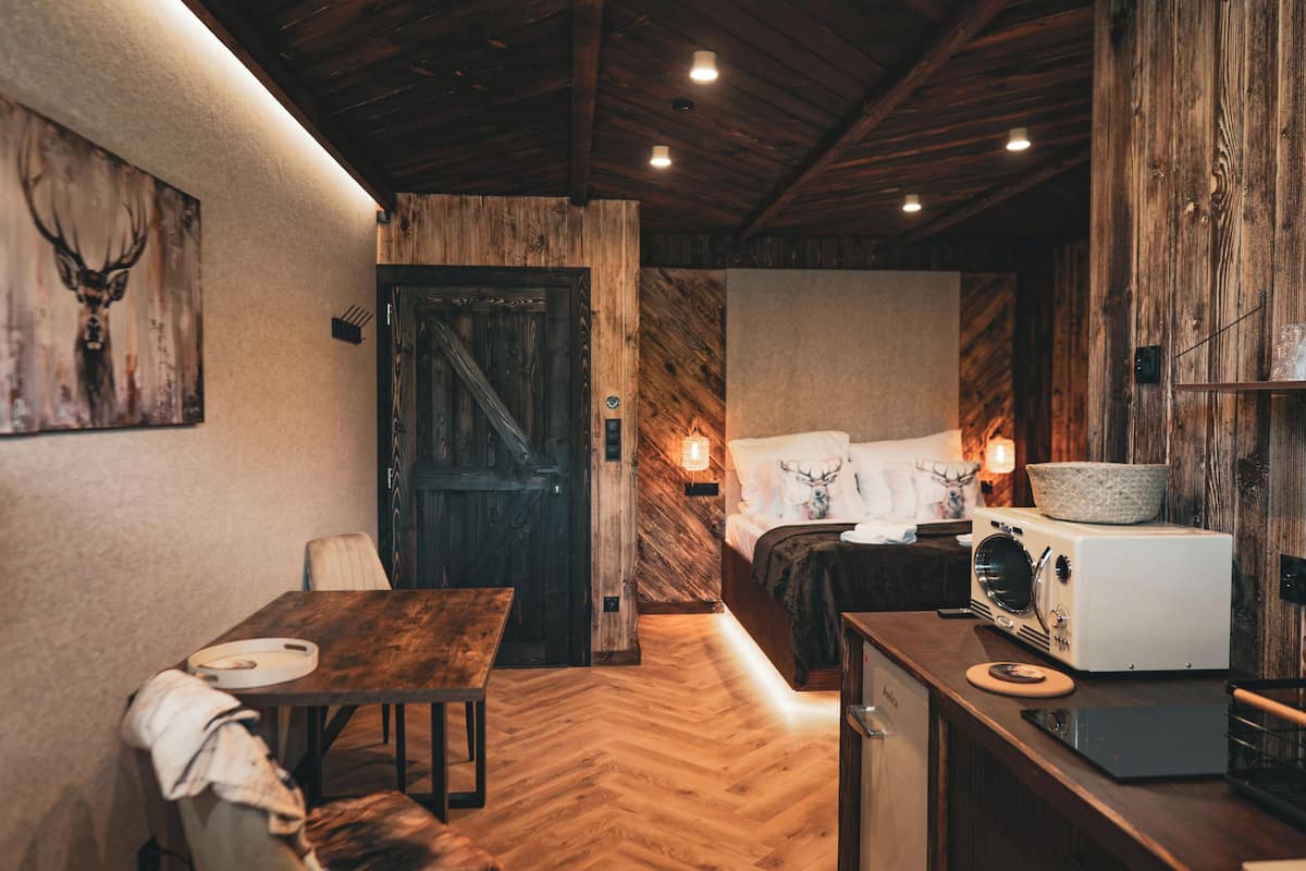 Deluxe Apartment (nr 6) | Iron/ironing board, free WiFi