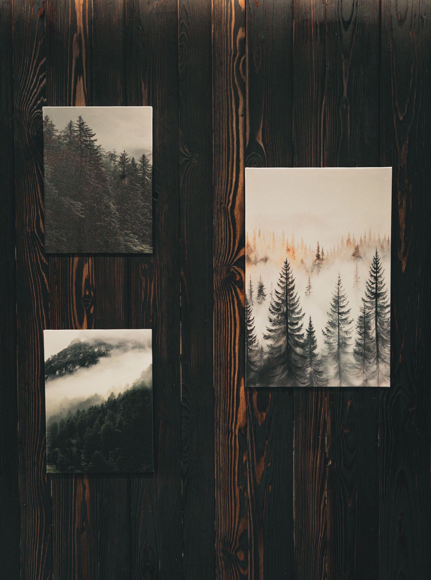 Drei gerahmte Fotografien von Waldlandschaften an einer Holzwand.