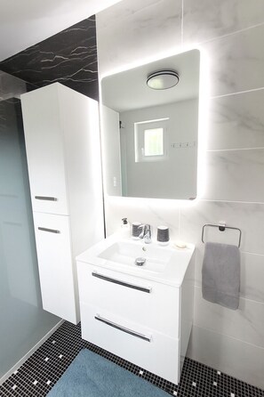 Shower, hair dryer, toilet paper - La longère des cerisiers (Villentrois-Faverolles-en-Berry)