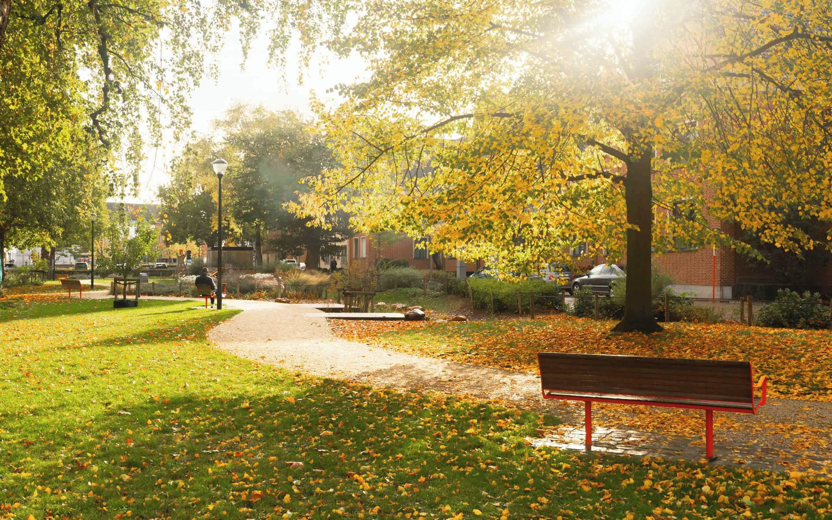 A park pathway with benches, trees, and a building in the background.