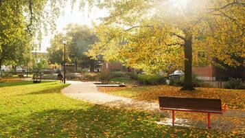 A park pathway with benches, trees, and a building in the background.