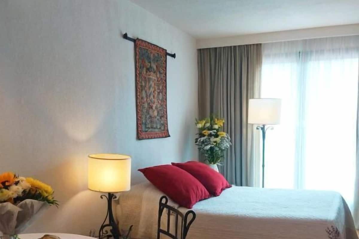 Appartement avec Balcon Sud | Free minibar, in-room safe, individually furnished, desk