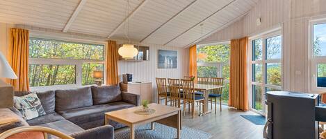 Télévision, cheminée, lecteur de DVD, chaßne hi-fi