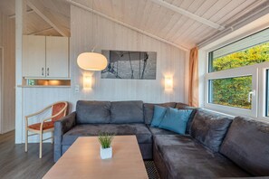 TV, peis, DVD-spiller og stereoanlegg