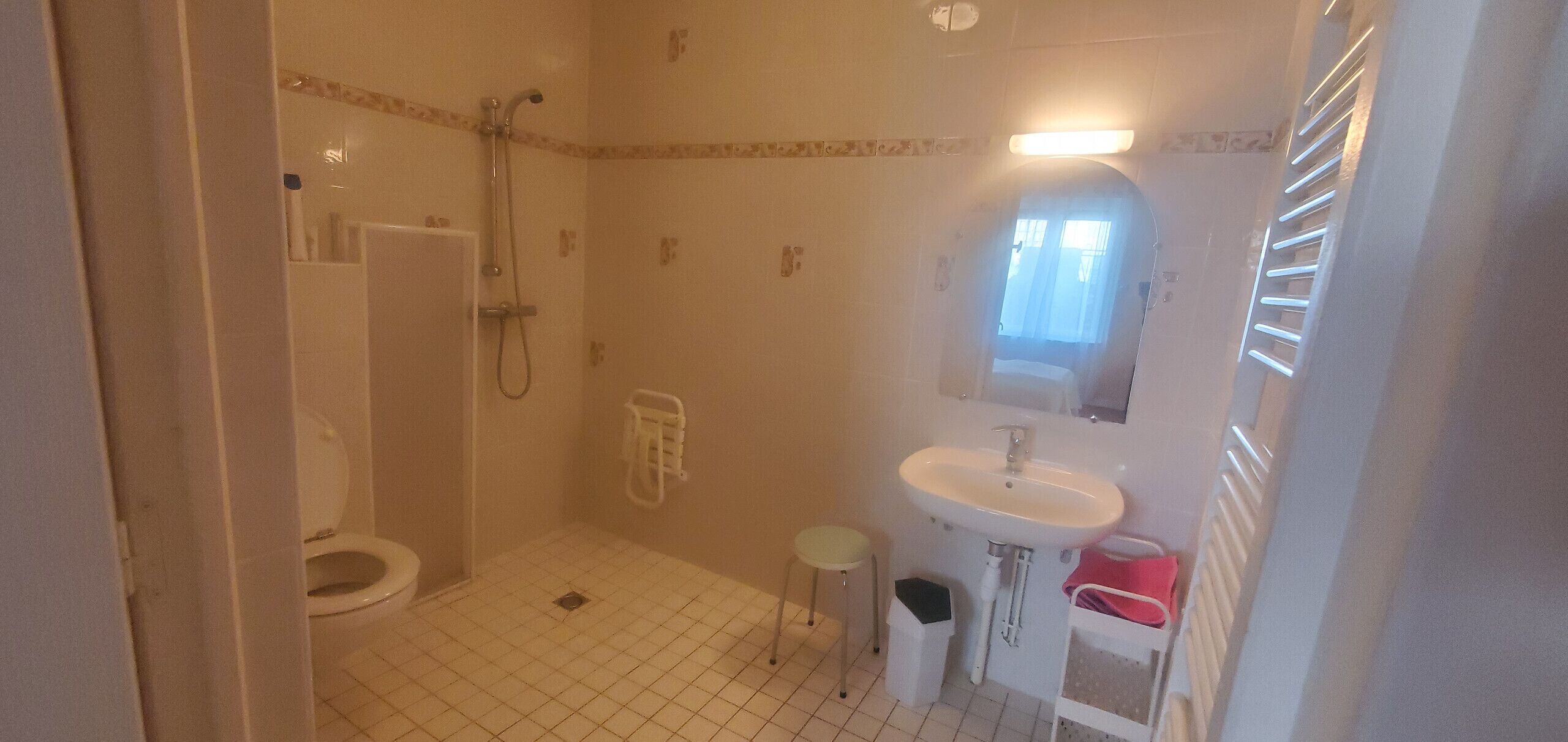 A bathroom with a toilet, shower, sink, and a mirror.