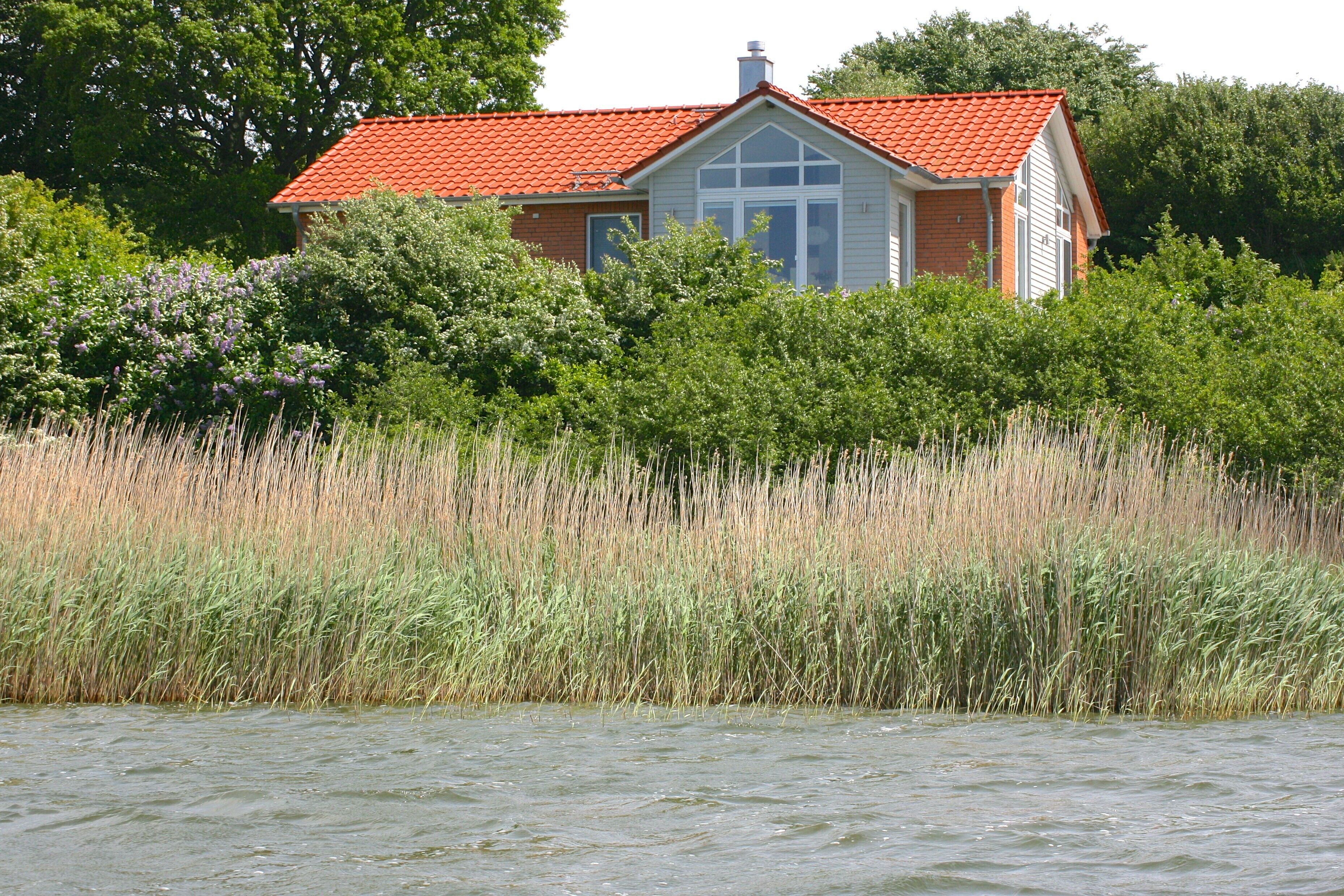 Ein Haus mit rotem Dach, umgeben von hohem Gras und Bäumen.