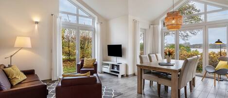 电视、壁炉、DVD 播放器