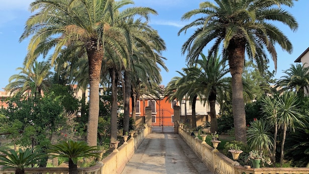 A pathway flanked by tall palm trees leading to a gated entrance. - Villa Russo - Historic home (Siderno)