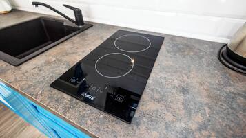 Une cuisine dotée d’une plaque de cuisson à induction noire et d’un évier en acier inoxydable.