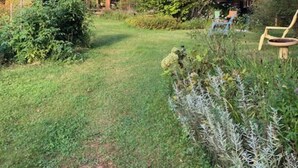 A small wooden cabin with a sloped roof surrounded by lush greenery and trees. - Charming garden apartment with AC near Lake Fairlee, WFi. (Fairlee)