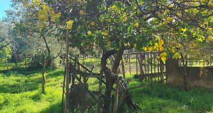 Holiday Calabria Rooms