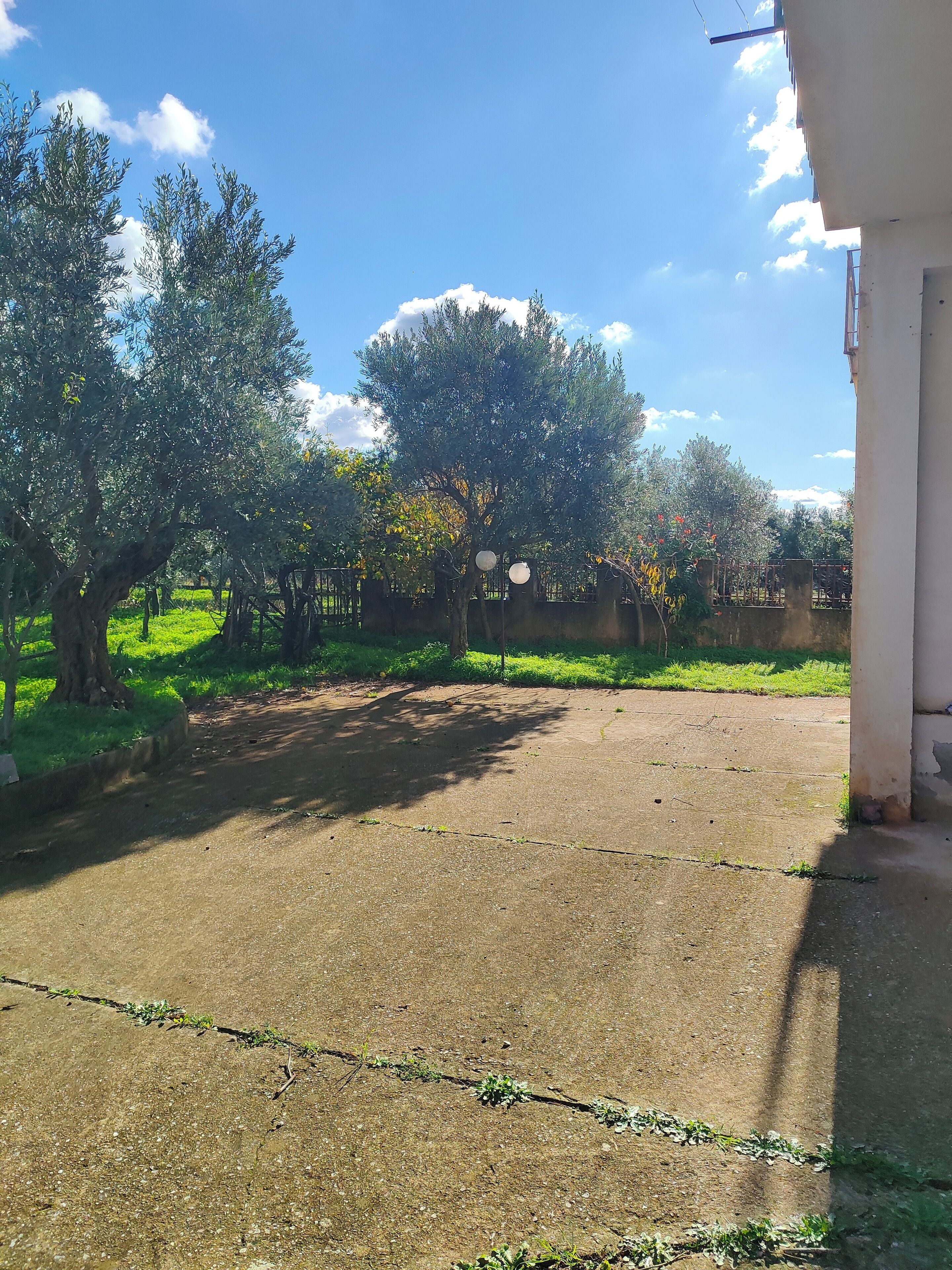 Une cour avec une zone pavée, entourée d’arbres et d’une clôture.