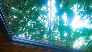 A covered outdoor area with a wooden bench, potted plants, and a stone water feature. - Cozy Beach Talalla  (Talalla)