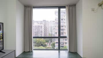 Superior Apartment, 1 Bedroom, Kitchen, City View | View from room