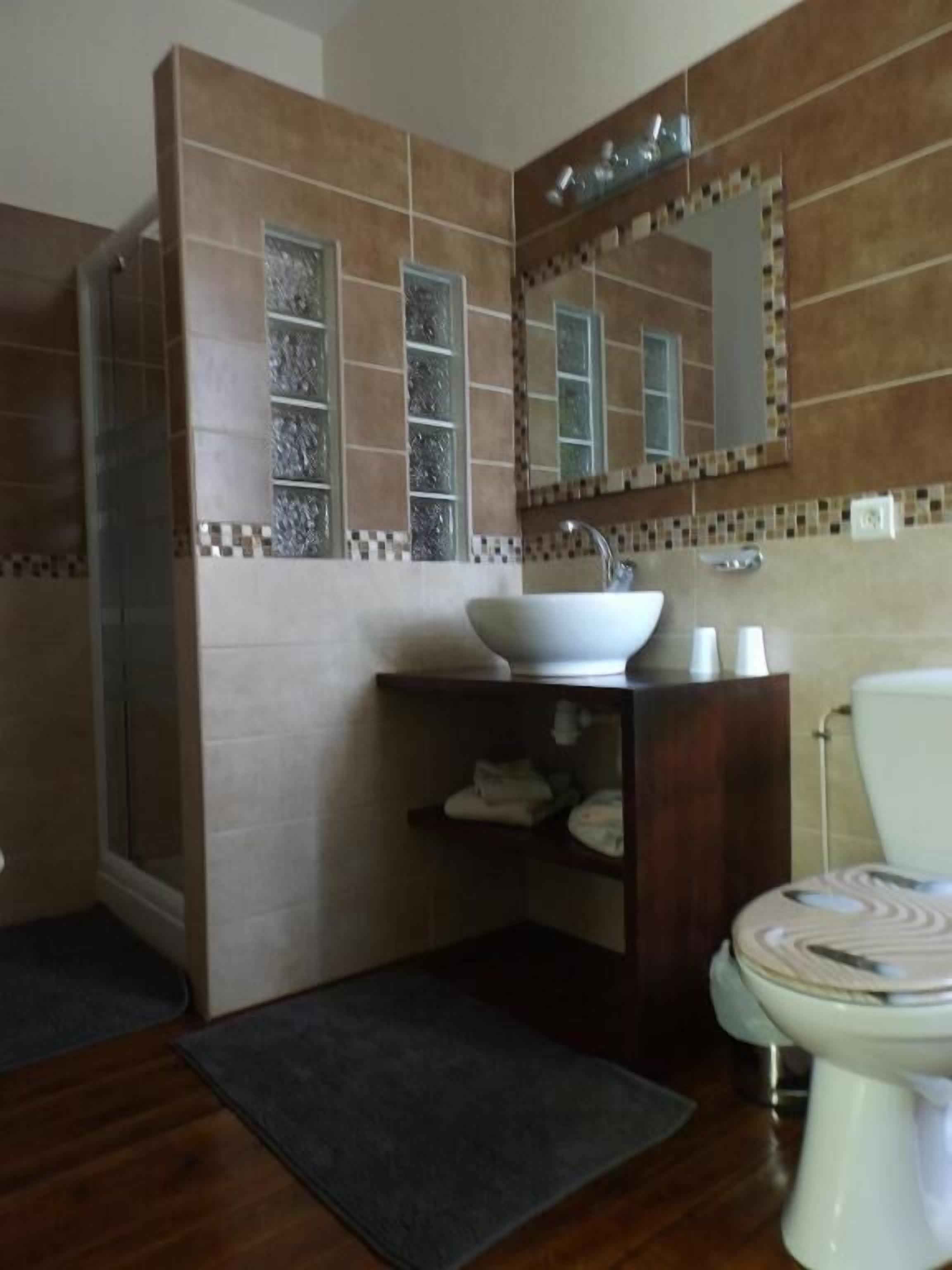 A bathroom with a sink, mirror, toilet, and shower.