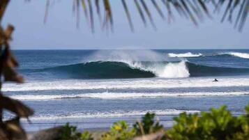 House, 3 Bedrooms, Accessible, Smoking | Beach