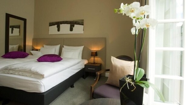 Standard Double Room - Hotel Residenz am Königsplatz (Speyer)