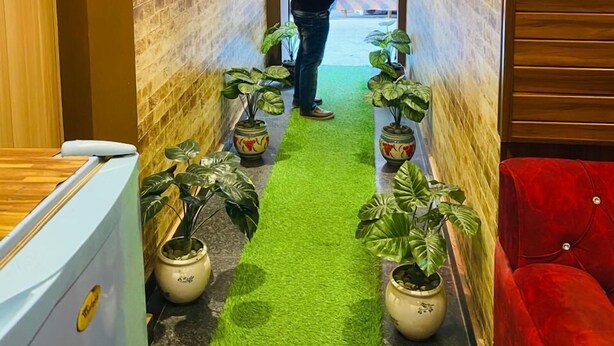 A corridor with a green carpet, potted plants, and colorful balloons. - Hotel New Pratap (Haridwar)