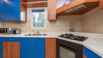 Fridge, microwave, oven, coffee/tea maker