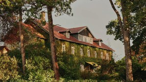 A large, ivy-covered house with a steep roof and multiple windows, surrounded by dense trees. - Raus | Cabins mit Feldblick + Saunazugang (Königslutter am Elm)