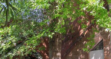 MOT + El Salvador 4678 - Superb House in Plaza Armenia